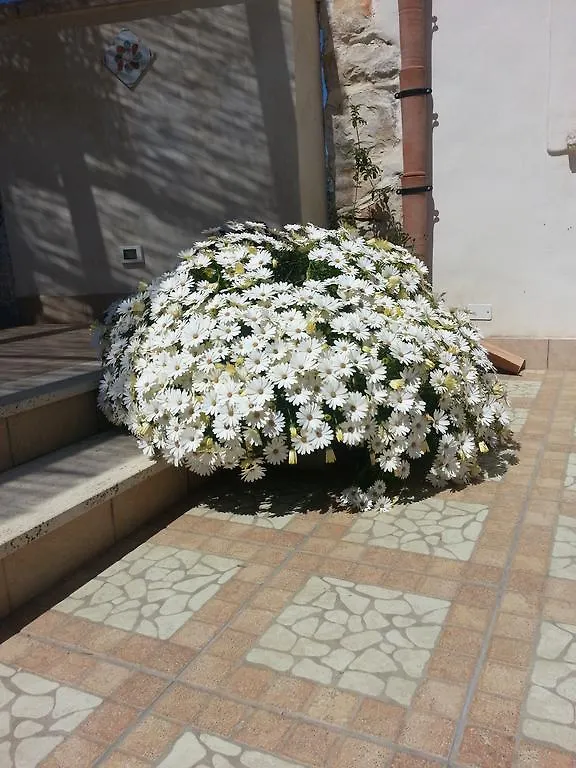 Σπίτι διακοπών Lovely Cottage Castellammare del Golfo